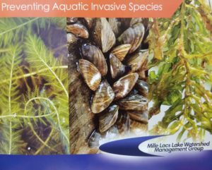 A poster showing three invasive species found in the Mille Lacs Lake watershed.